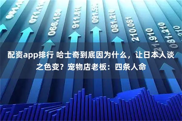 配资app排行 哈士奇到底因为什么，让日本人谈之色变？宠物店老板：四条人命